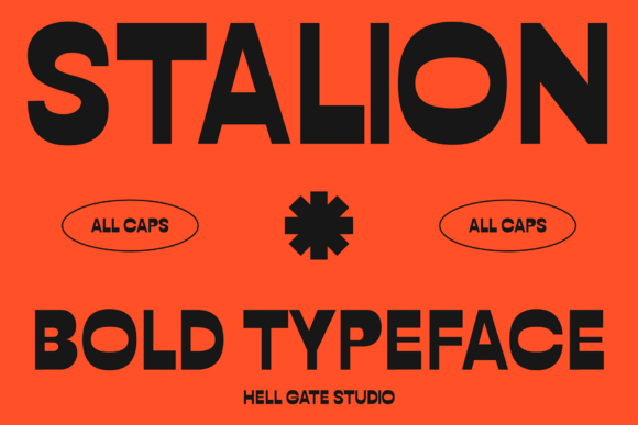 Stalion: A Display Font Built for Retro Editorial Charm